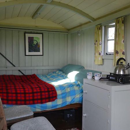 Shepherd'S Hut Blandford Forum Exterior photo