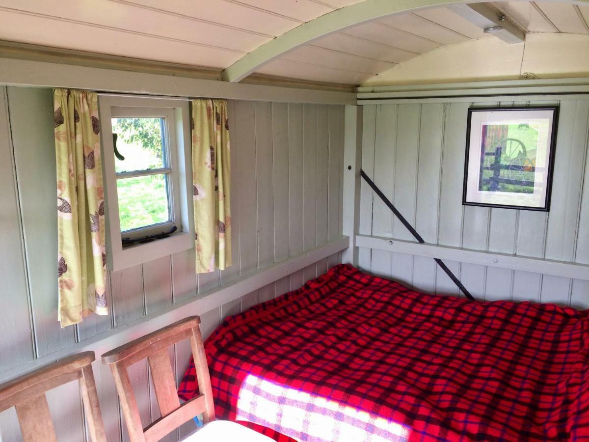 Shepherd'S Hut Blandford Forum Exterior photo