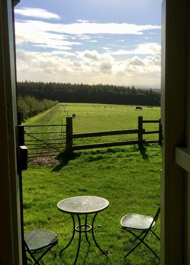 Shepherd'S Hut Blandford Forum Exterior photo