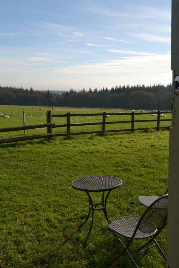 Shepherd'S Hut Blandford Forum Exterior photo