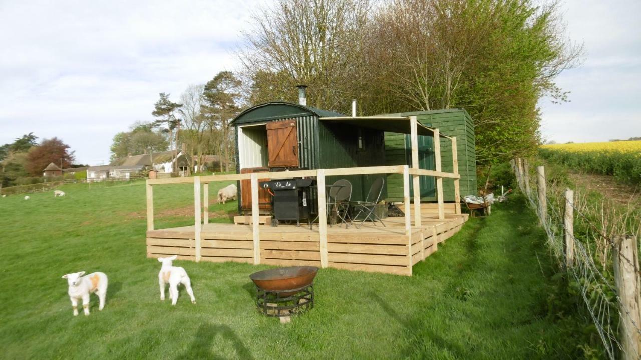 Shepherd'S Hut Blandford Forum Exterior photo